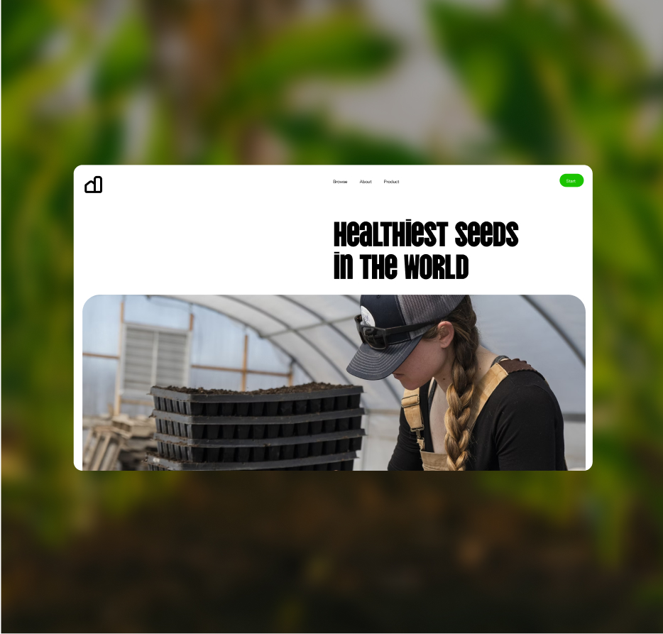 The letters Aa in a typographic diagram